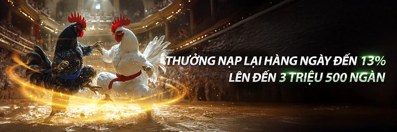 Đá gà trực tuyến 2233win – Sân đấu kịch tính và cơ hội thắng lớn