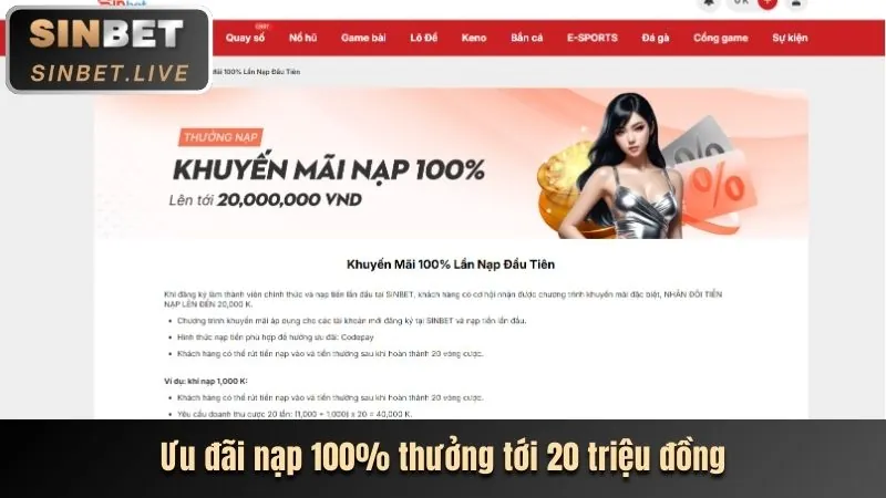 Cấp độ VIP Bạch Kim 2233win